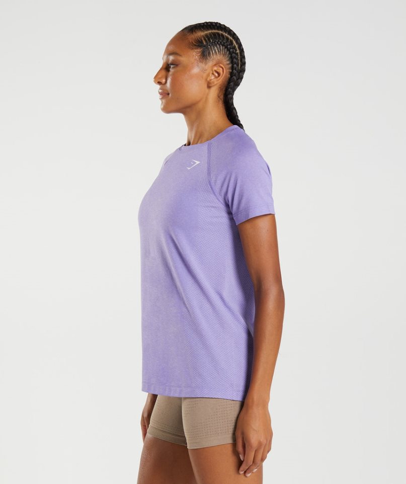 Women's Gymshark Vital Seamless 2.0 Light T-Shirts Purple | NZ 1ZXOFW